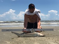 Sharkaholics - Jimmy Lynch