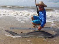 Sharkaholics - Zach Crain