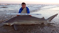 Sharkaholics - Zach Crain