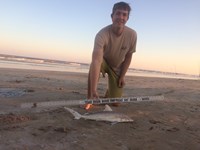 REELentless Sharkers - Clayton Nagler