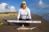 Shark Tribe - Jennifer Merchant