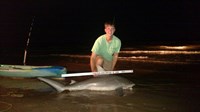 REELentless Sharkers - Clayton Nagler