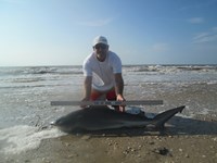 Sharkaholics - Ron Richmond