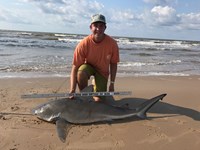 REELentless Sharkers - Clayton Nagler