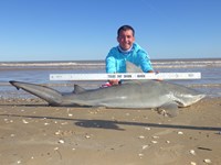 Sharkaholics - Zach Crain