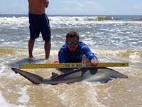 Sharkaholics - Zach Crain