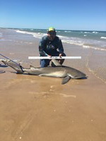 TEAM H&J SHARK HUNTERS - CELESTINO  ABREGO