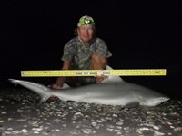Sharkaholics - David Crain