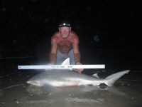 Sharkaholics - Ron Richmond