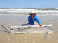 Sharkaholics - Zach Crain