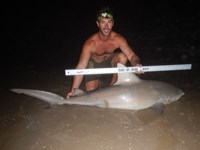 Sharkaholics - Kelly O'brien