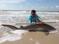 Sharkaholics - Zach Crain