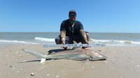 Sharkaholics 2 - Chase Schuelke