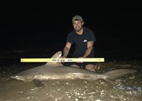 Sharkaholics - Jimmy Lynch