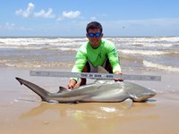 Sharkaholics - Zach Crain