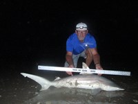 Sharkaholics - Ron Richmond