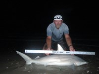 Sharkaholics - Ron Richmond