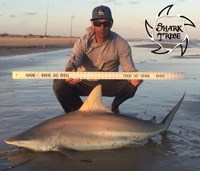 Shark Tribe - Jimmy Limon