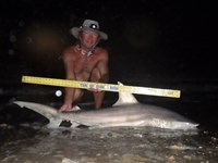 Sharkaholics - David Crain