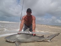Sharkaholics - Ron Richmond