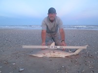 Sharkaholics - Ron Richmond