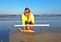 Shark Tribe - Jennifer Merchant
