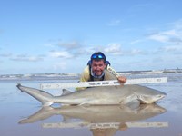 Sharkaholics - Zach Crain