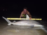 Sharkaholics - Zach Crain