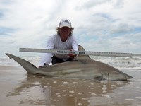 Sharkaholics - David Crain