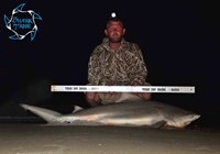 Shark Tribe - Brice Walker