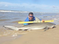 Sharkaholics - Zach Crain