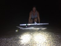 Team JackWagon - Kimberly Collier