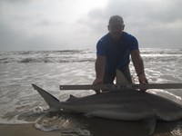 Sharkaholics - Ron Richmond