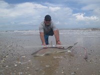 Sharkaholics - Ron Richmond