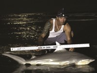 Shark Tribe - Jimmy Limon