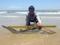 Sharkaholics - Zach Crain