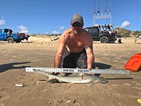 Shark Tribe - Tim Merchant