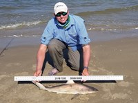 Texas Shark Research Team - Robert Grimsley