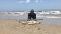 Fat Fish Only - Randall Dunn
