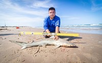Fishing  Locos  - Jose Zavala