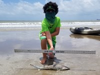 Texas Shark Research Team - Ayden Johnson