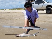 Texas Shark Research Team - Ayden Johnson