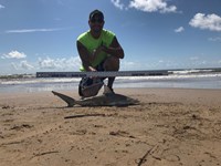 Just Bitten Shark Fishing Team - Walter Colton