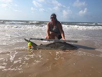 Team JackWagon - Kimberly Collier