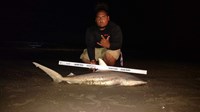 Cast Out Mafia  - Jeffery  Reyes