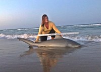 Shark Tribe - Jennifer Merchant