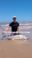 Shark landers - Cole Nagler