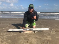 Fat Fish Only - Randall Dunn