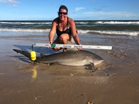 Team JackWagon - Kimberly Collier