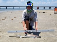 Texas Shark Research Team - Ayden Johnson